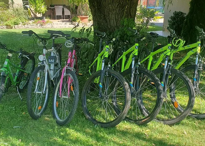 Tamási Villa- Nyaraló